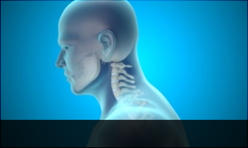 부산자생한방병원 목질환 일자목증후군-정상적인 C자형 목뼈 모습입니다.